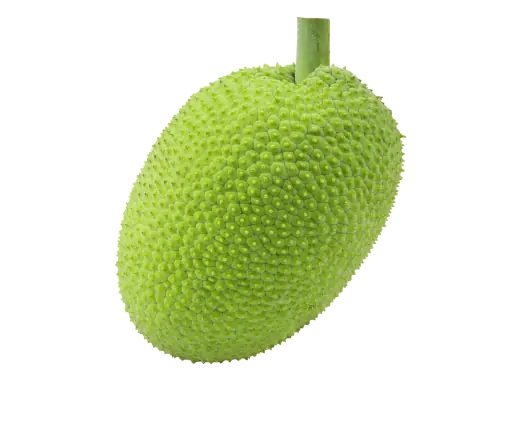 Jackfruit